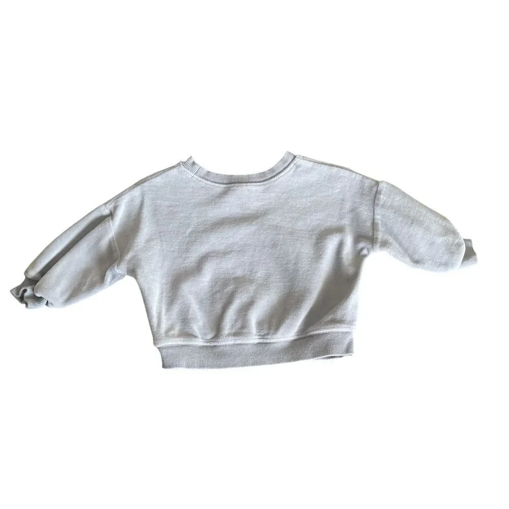 Quince Baby  gray Sweatshirt 6-12m